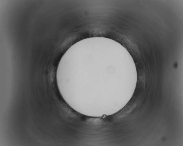 X0000102460133200808080954