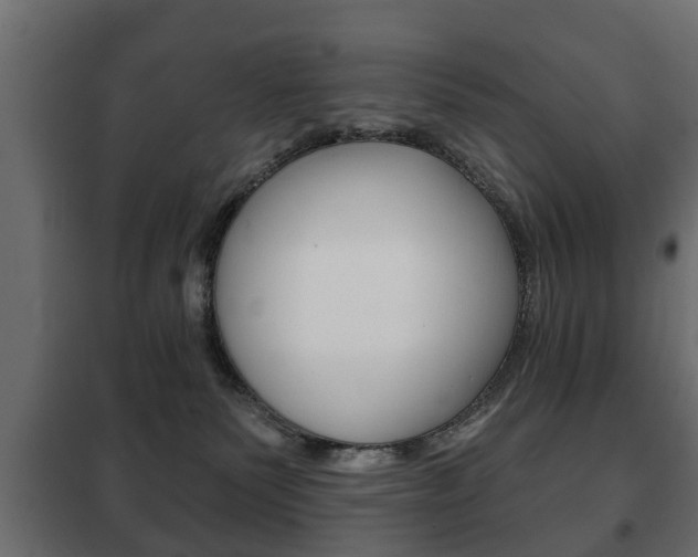 X0000102460135200808080954