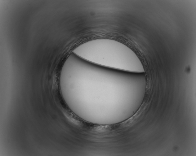 X0000102460136200808080954