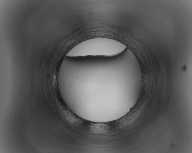 X0000102460137200808080954