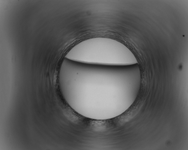 X0000102460139200808080954