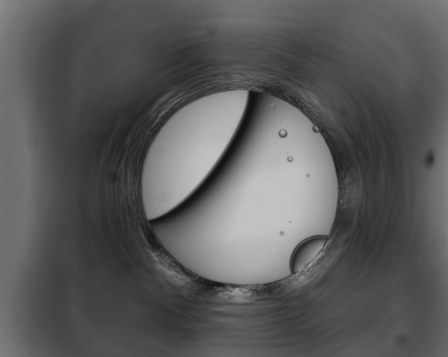 X0000102460140200808080954