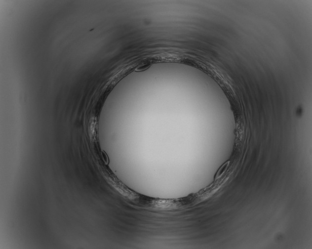 X0000102460141200808080954