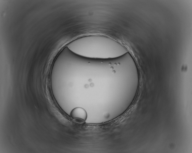 X0000102460145200808080953