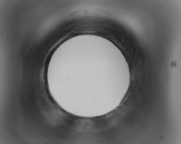 X0000102460146200808080953