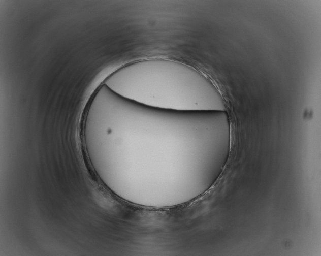 X0000102460147200808080953