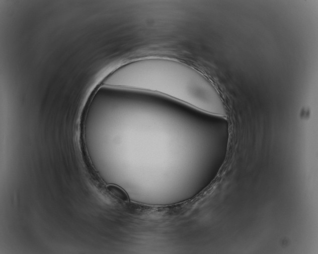X0000102460148200808080953