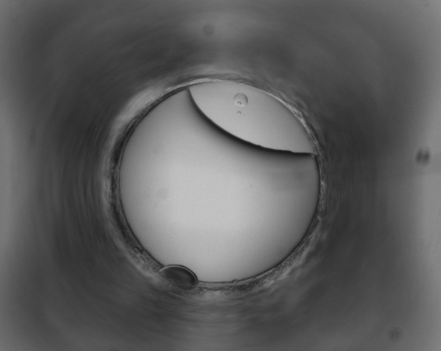 X0000102460149200808080953