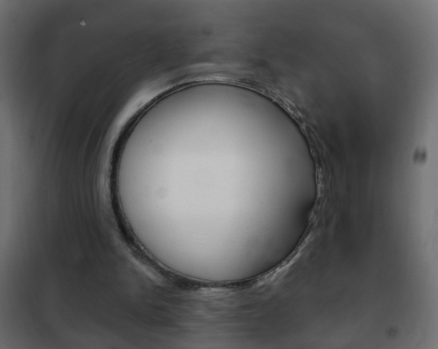 X0000102460150200808080953