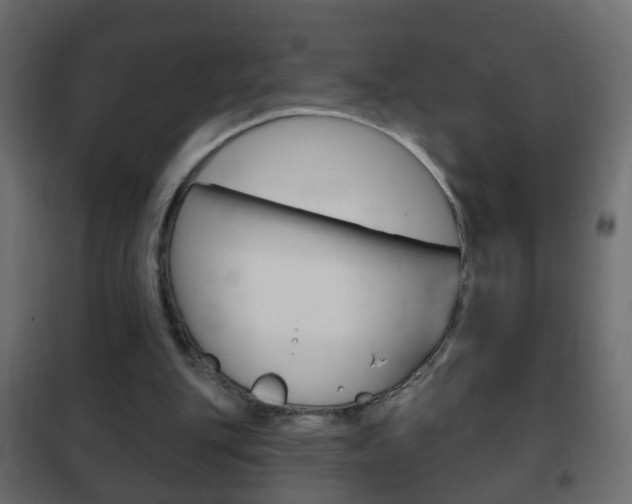 X0000102460151200808080953