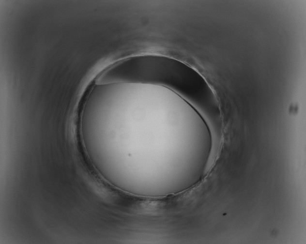 X0000102460152200808080953