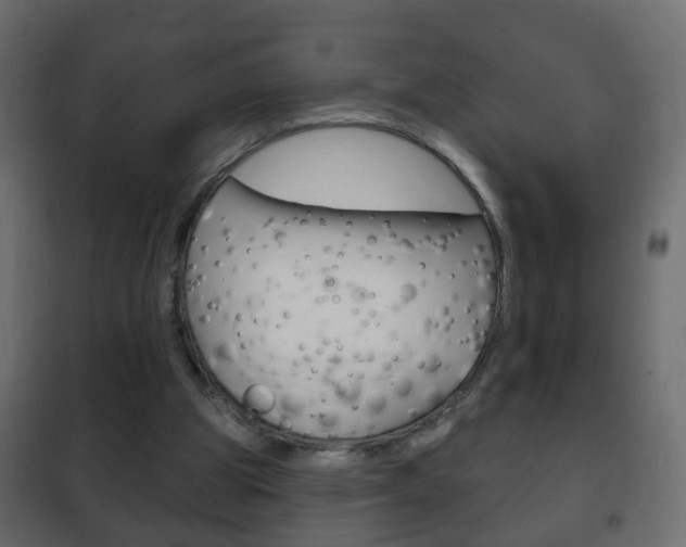 X0000102460153200808080953