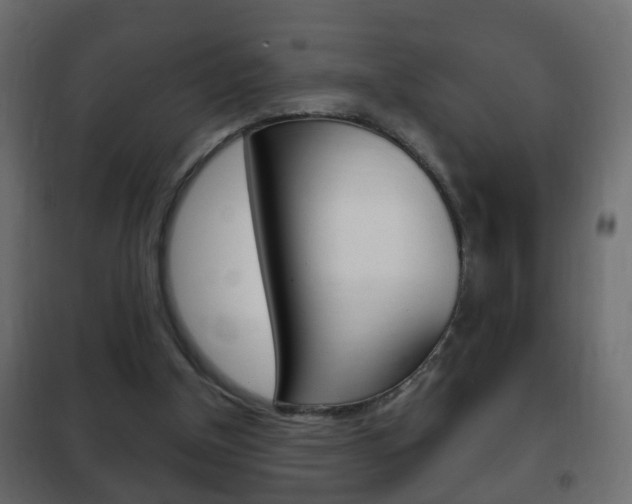 X0000102460154200808080953