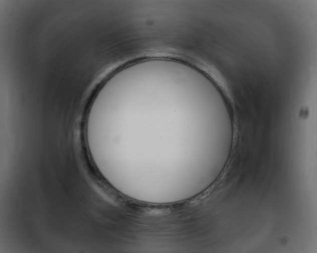 X0000102460155200808080953