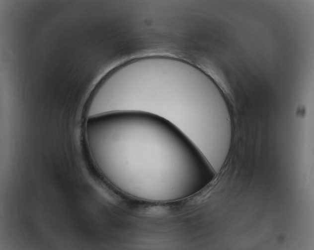 X0000102460156200808080953