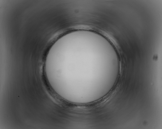 X0000102460157200808080953