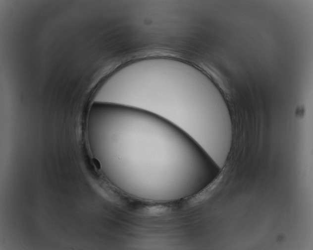X0000102460158200808080953