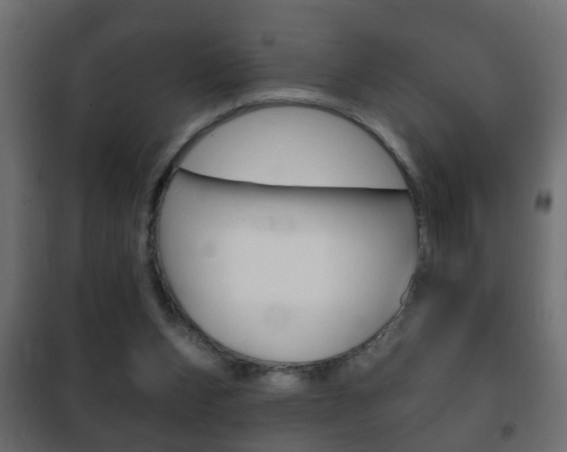 X0000102460159200808080953
