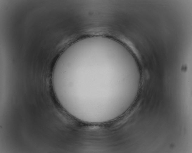 X0000102460161200808080953