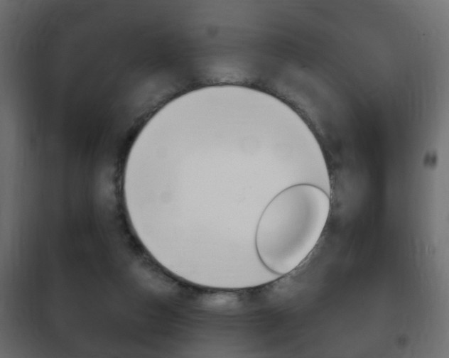 X0000102460162200808080953