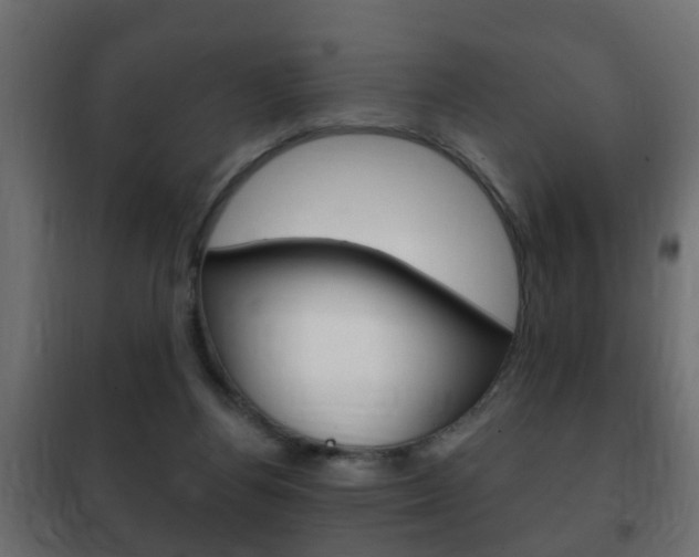 X0000102460164200808080953