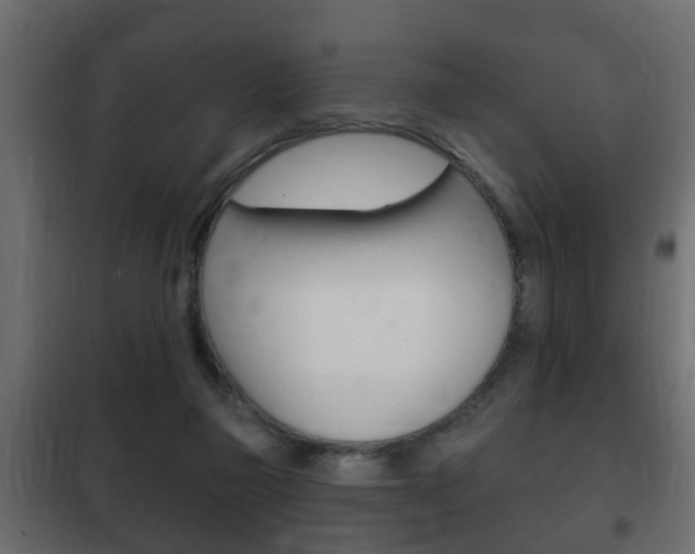 X0000102460165200808080953