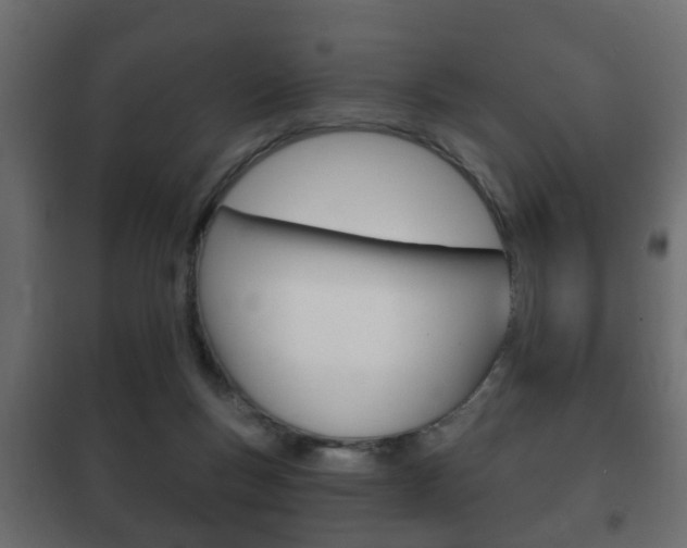 X0000102460167200808080953