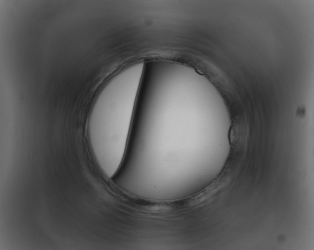X0000102460168200808080953