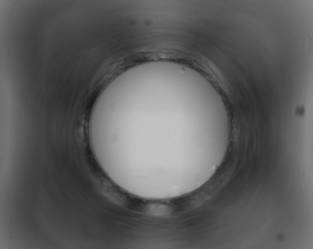 X0000102460169200808080953