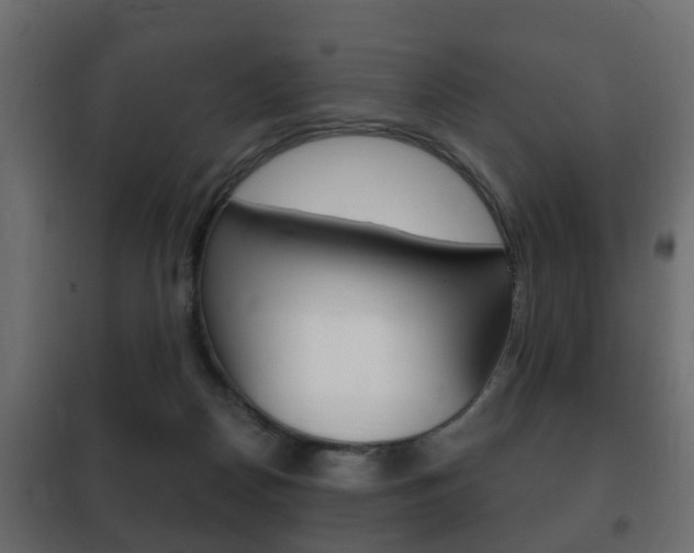 X0000102460170200808080953
