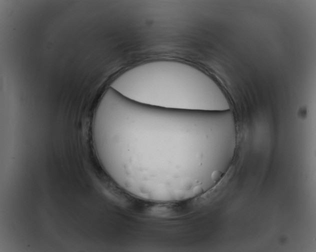 X0000102460171200808080953