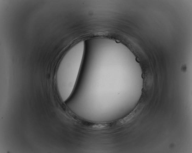 X0000102460172200808080953
