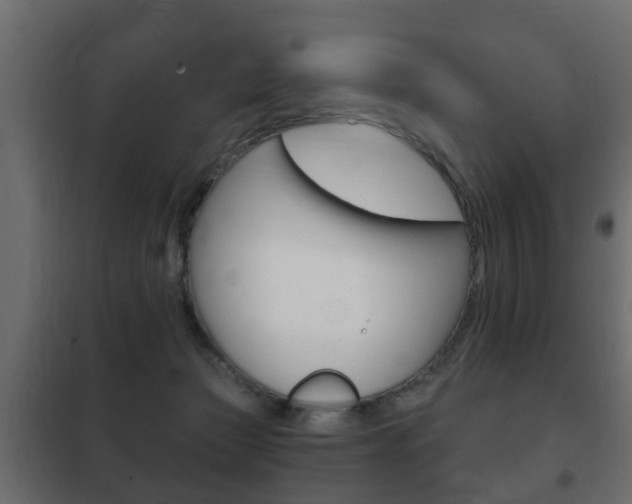 X0000102460173200808080953