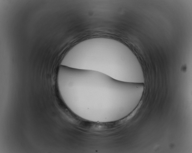 X0000102460174200808080953