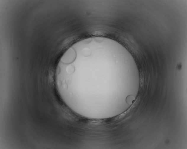 X0000102460175200808080953