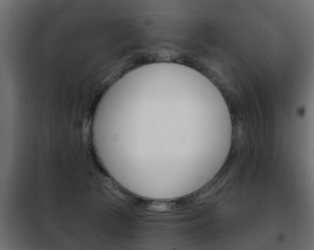 X0000102460177200808080953