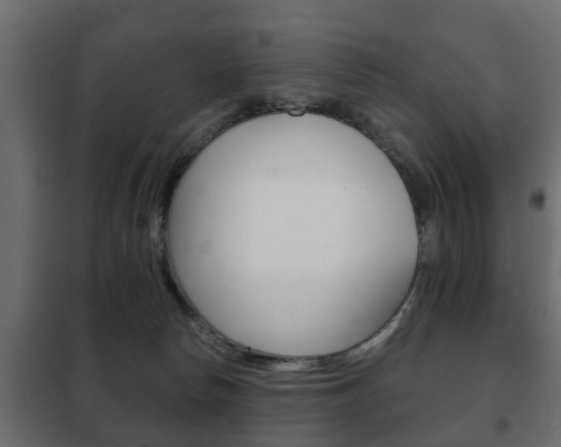 X0000102460178200808080954