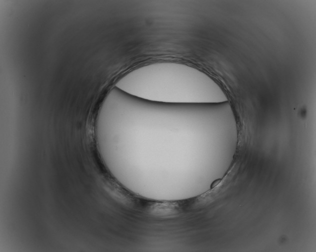 X0000102460179200808080954
