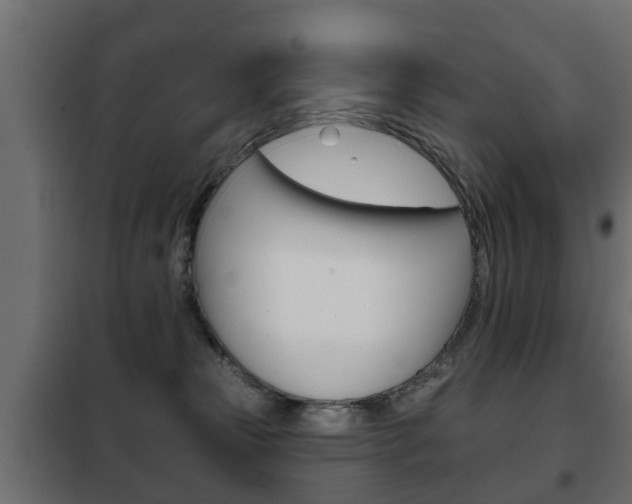 X0000102460181200808080954