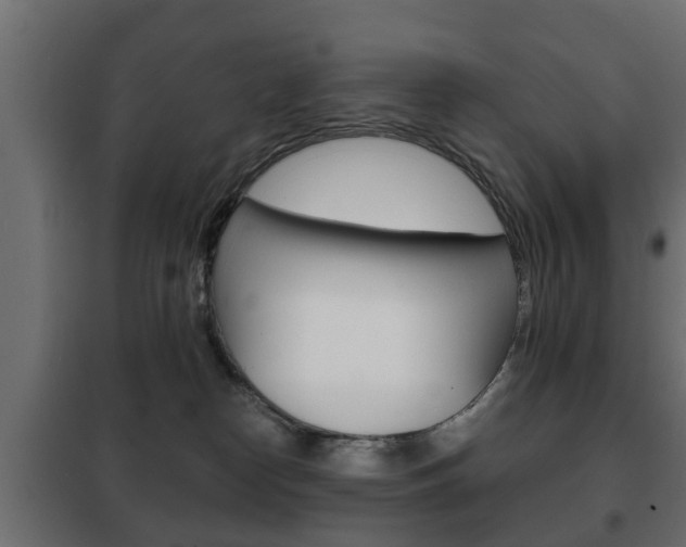 X0000102460182200808080954