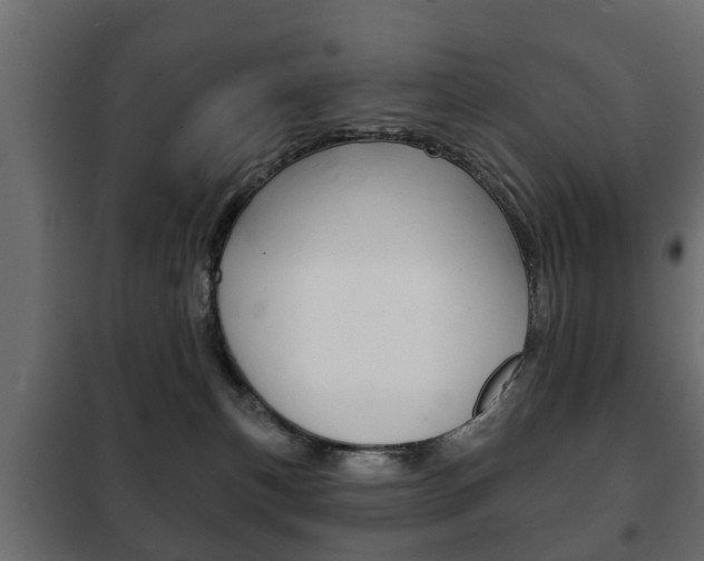 X0000102460183200808080954