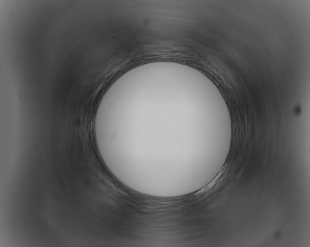 X0000102460184200808080954