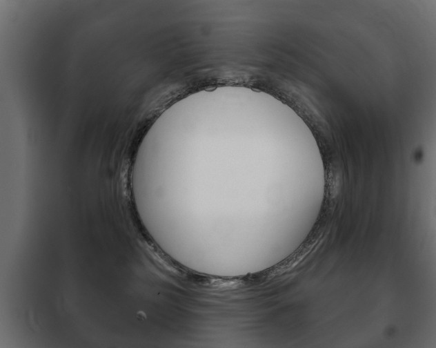 X0000102460185200808080954