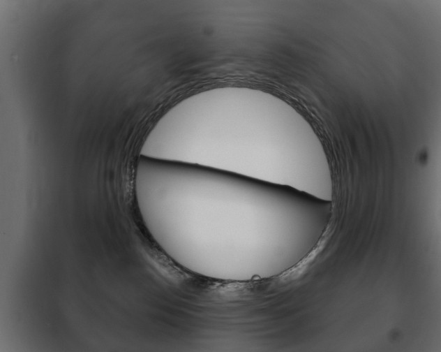 X0000102460186200808080954