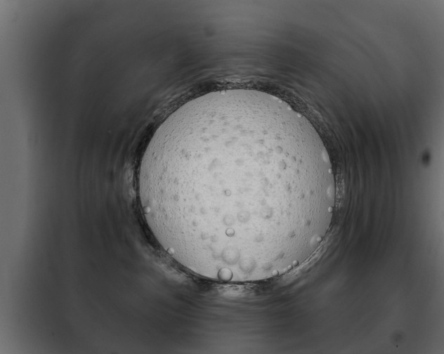 X0000102460187200808080954