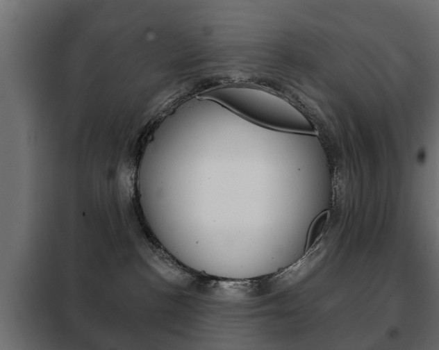 X0000102460188200808080954