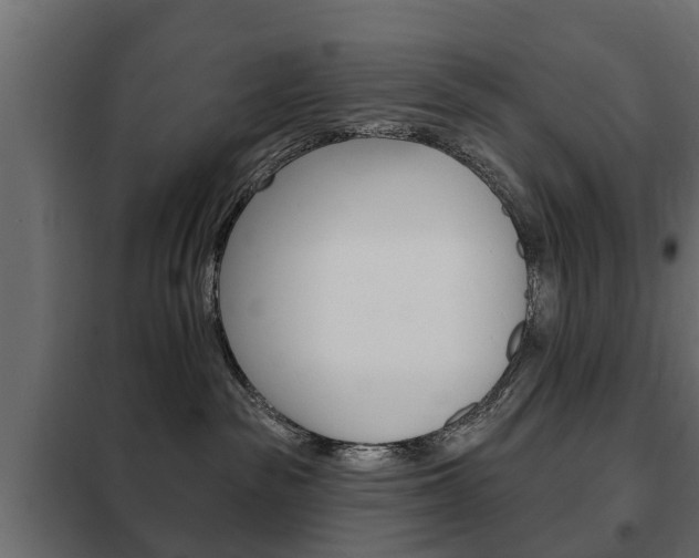 X0000102460189200808080954