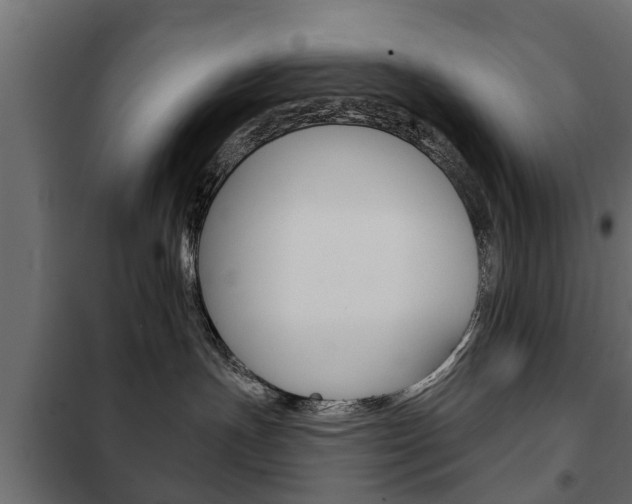 X0000102460191200808080954