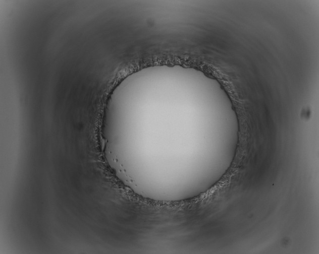 X0000102460192200808080954