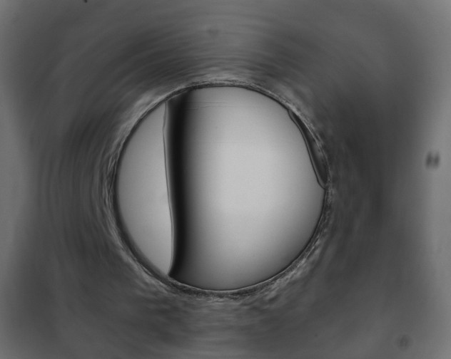 X0000102460193200808080953